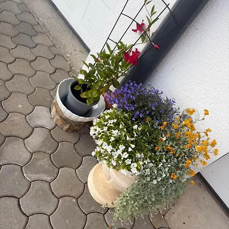 Apartament Seensucht169